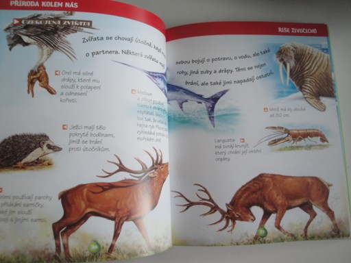 Příroda kolem nás-dětská il. encyklopedie