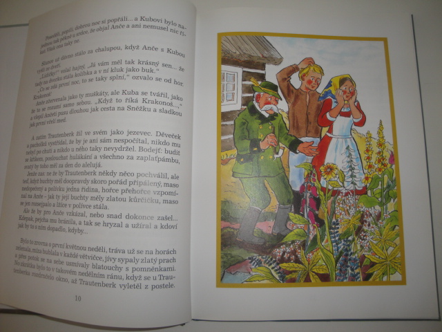 Anče a Kuba mají Kubíčka - Božena Šimková