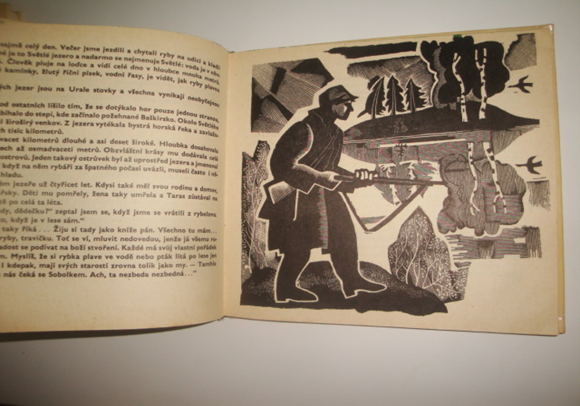 Medvídek a jiné příběhy-D.N.Mamin-Sibirjak 