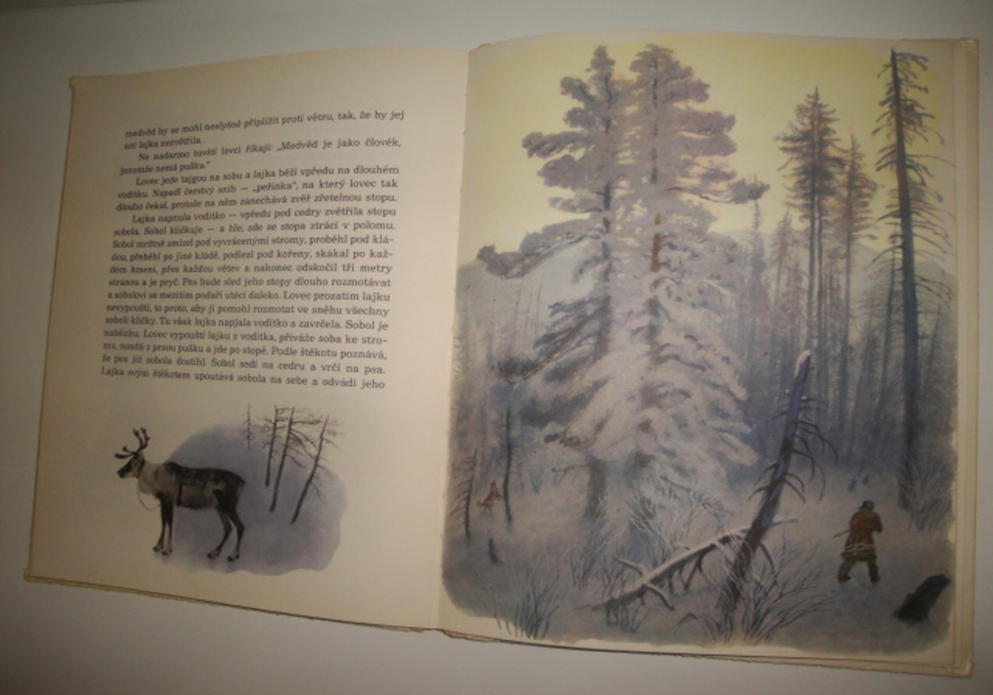 Z dalekých krajů-Gennadij Sněginjev