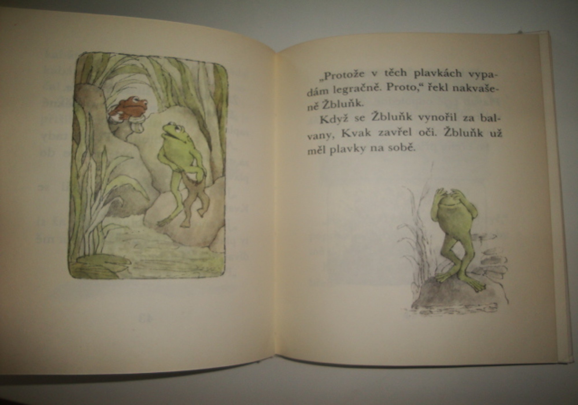 Kvak a žbluňk jsou kamarádi-Arnold Lobel