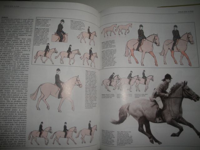 Koně-Velká kniha o chovu a výcviku koní 