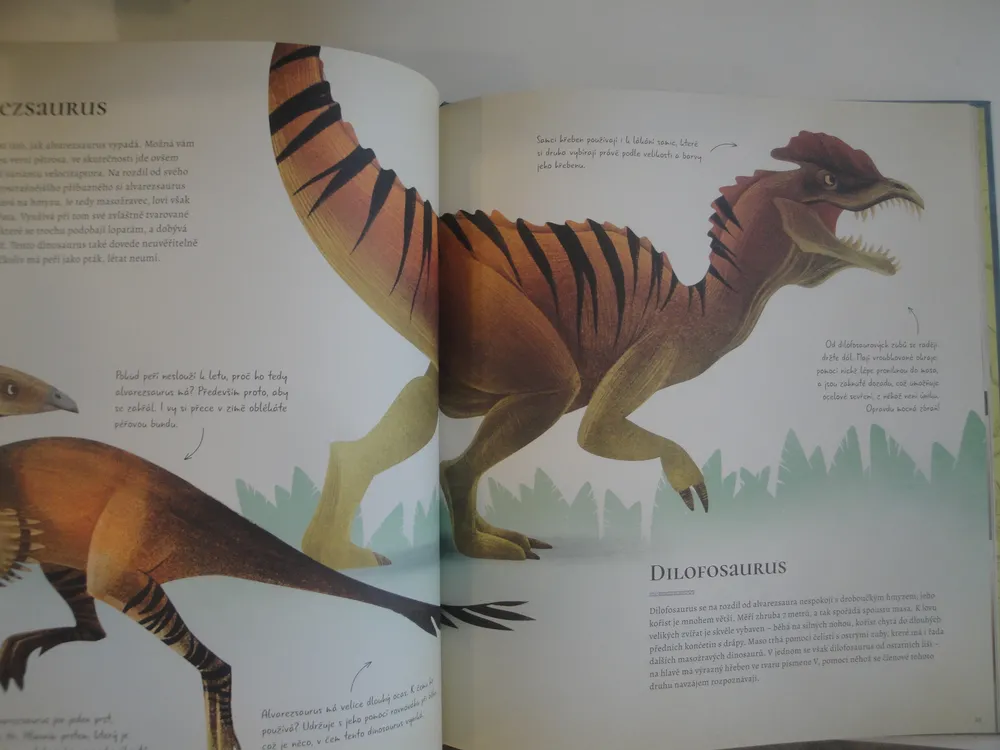 Kniha plná dinosaurů-příručka zkušeného chovatele 