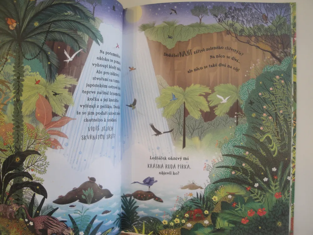 Tajemství džungle - hledání zvířátek 