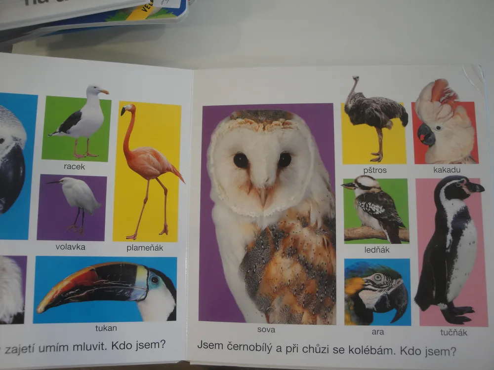 Velké leporelo zvířat 
