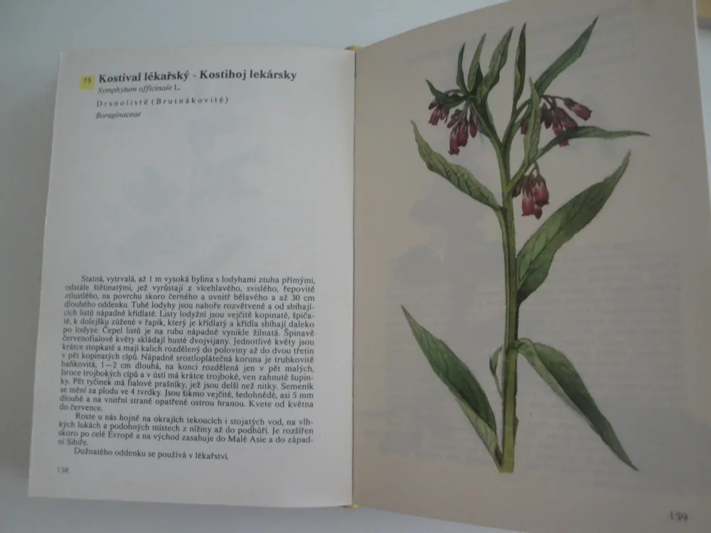 Kapesní atlas rostlin -A.Pilát, O.Ušák 