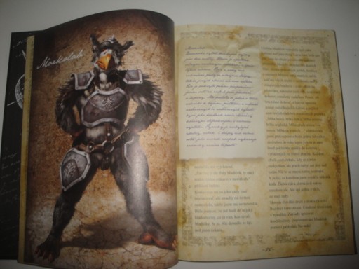 Saxána a lexikon kouzel-Ivone Březinová