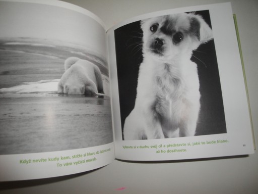 Špetku odvahy!-Bradley Trevor Greive 