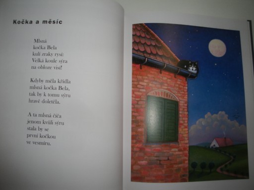 Kočkování - knížka pro malé i velké přátelé koček 