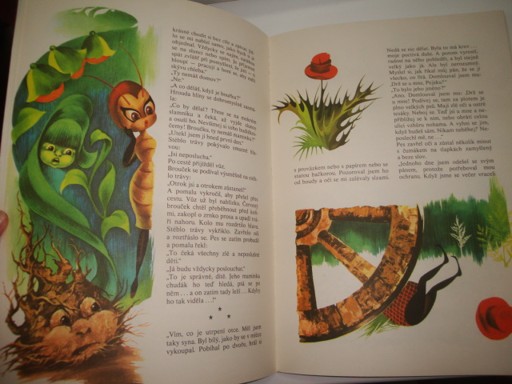 Povedený kousek červeného raráška- G.M.Zamfierscu