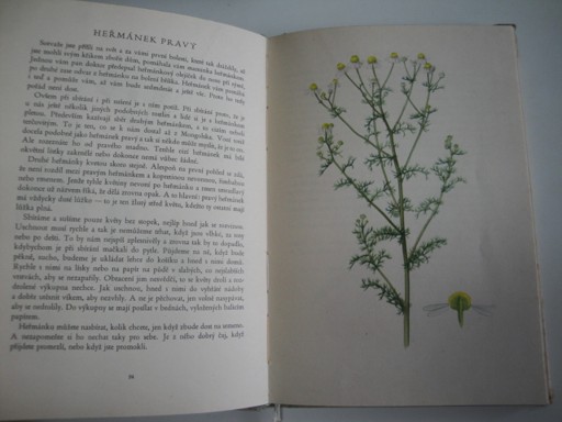 Sbíráme léčivé rostliny-J.Petrbok, O.Ušák 