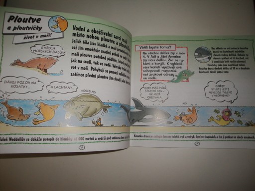 Savci-zábavná fakta 