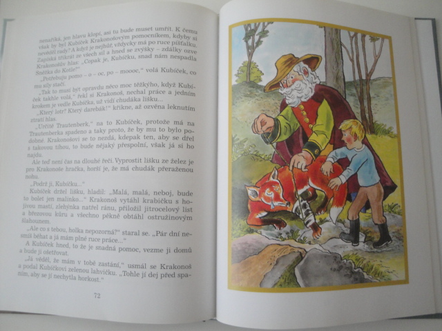 Anče a Kuba mají Kubíčka - Božena Šimková