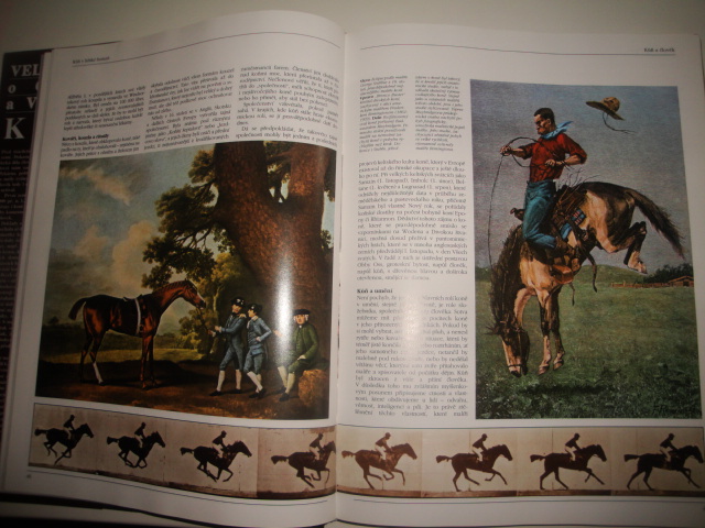 Koně-Velká kniha o chovu a výcviku koní 