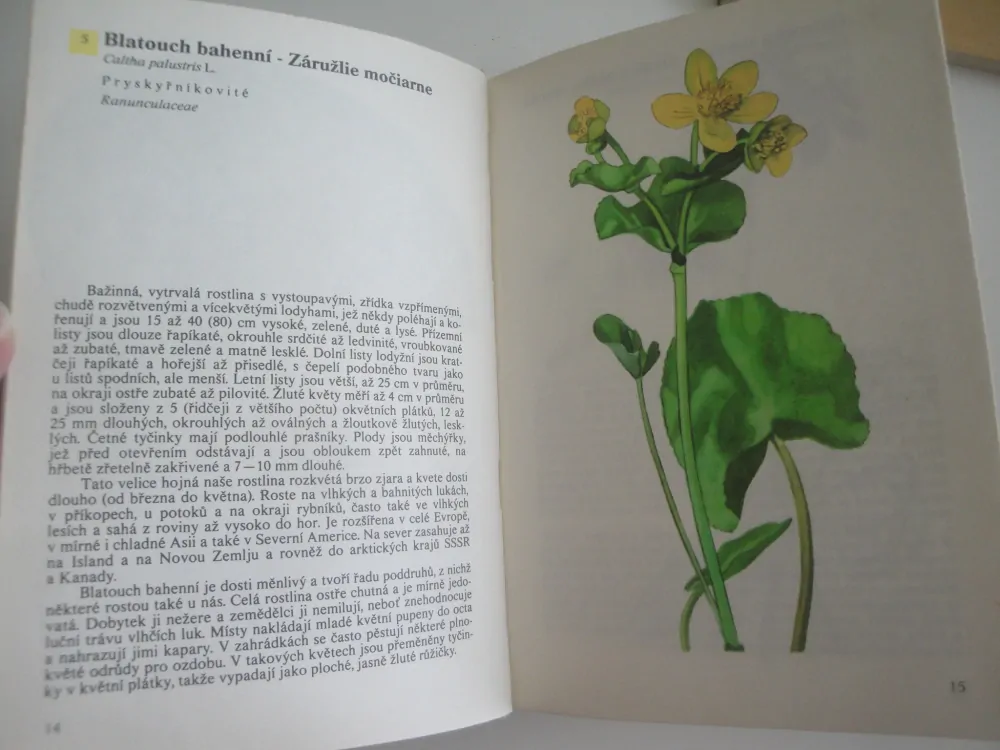 Kapesní atlas rostlin -A.Pilát, O.Ušák 