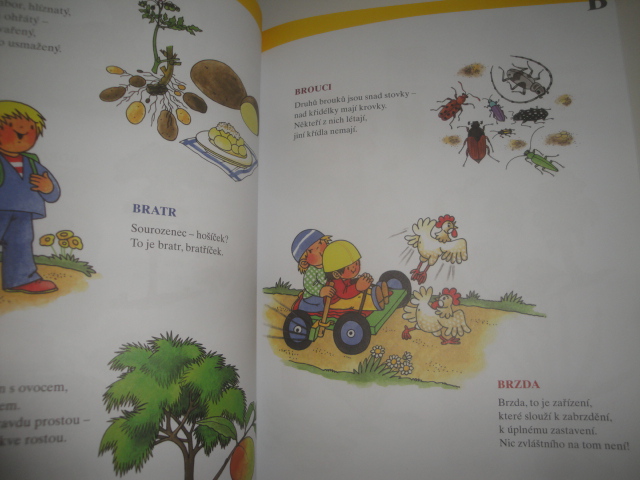 Veršovaná encyklopedie -Zuzana Pospíšilová
