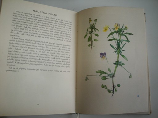 Sbíráme léčivé rostliny-J.Petrbok, O.Ušák 