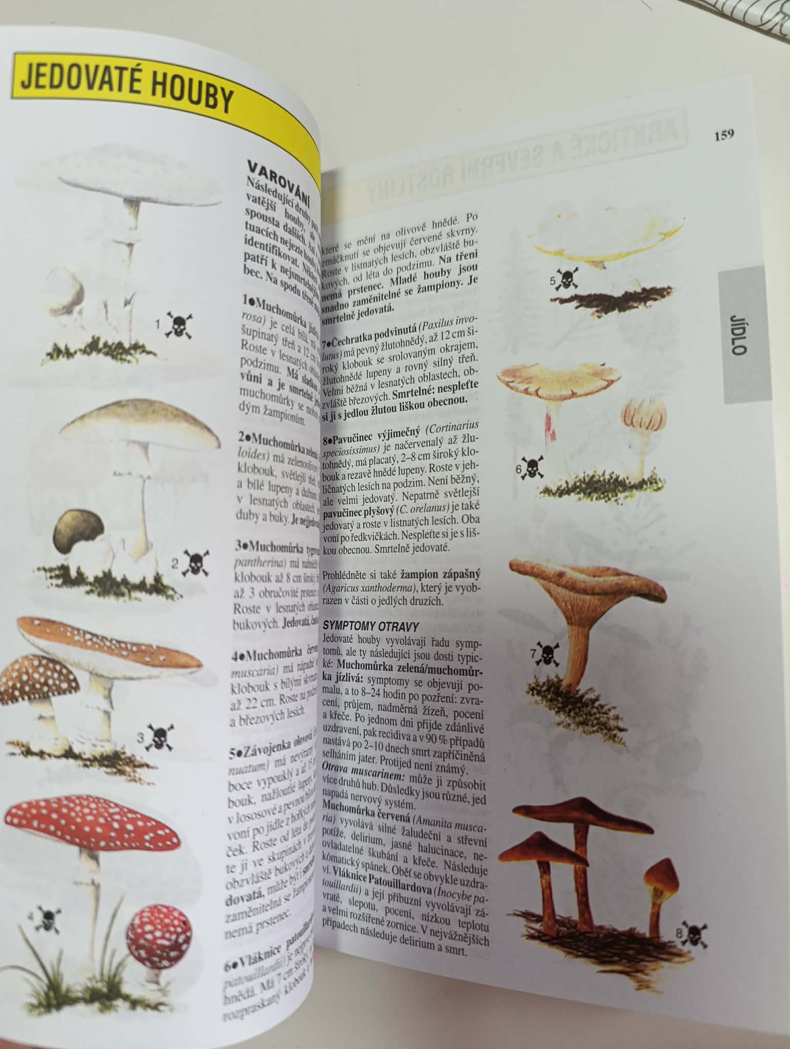 SAS příručka jak přežít-John Wiseman