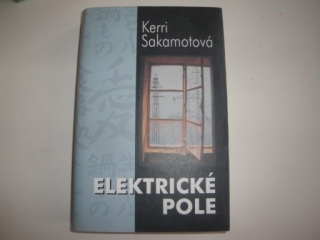 Elektrické pole -Kerri Sakamotová 