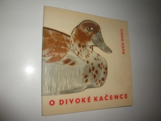 O divoké kačence-Rudo Moric