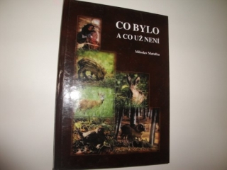 Co bylo a co už není -Miloslav Matulka 