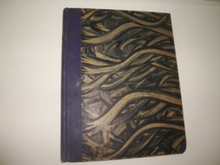 Lípa-ilustrovaný časopis dorostu ČS.červeného kříže 