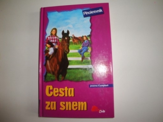 Cesta za snem-Joanna Campbell