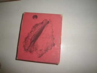 Ve znamení ženy - Neumann 