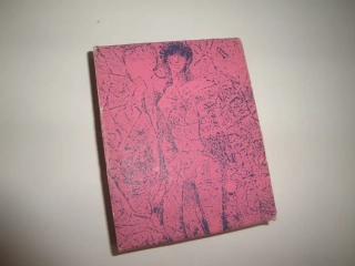 Uzlíček stříbra-Branislav 