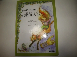 Bad boy the story of Budulinek