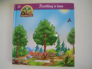 Borovice