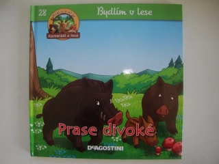 Prase divoké