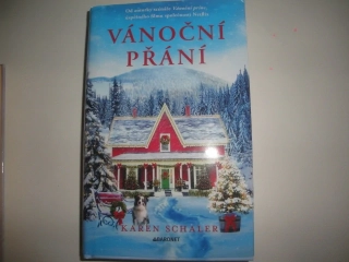 Vánoční přání - Karen Schaler