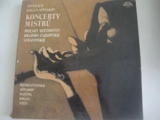 Koncerty mistrů